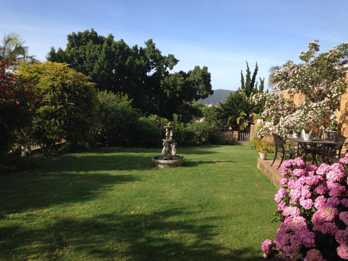 Blue Fern Of Knysna Bed & Breakfast Dış mekan fotoğraf