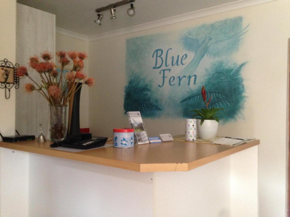Blue Fern Of Knysna Bed & Breakfast Dış mekan fotoğraf