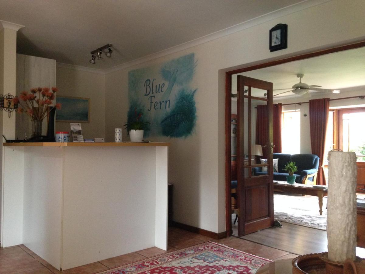 Blue Fern Of Knysna Bed & Breakfast Dış mekan fotoğraf