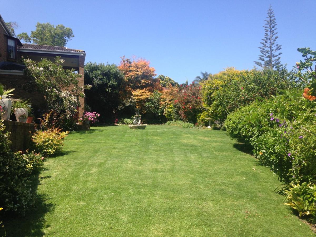 Blue Fern Of Knysna Bed & Breakfast Dış mekan fotoğraf